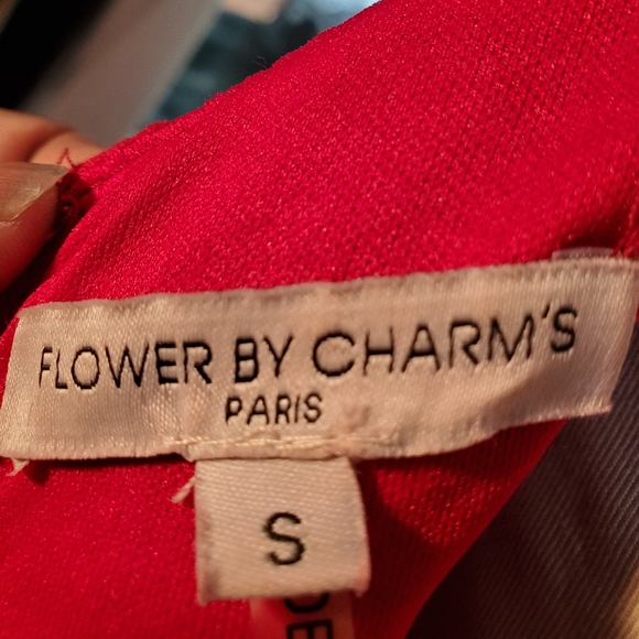 Flower by Charm's Paris Red Striped Mesh Mini Dress - Picture 7 of 8